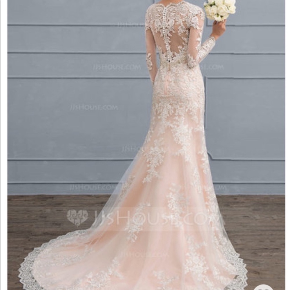 Blush Illusion Lace Long-Sleeve Wedding Dress